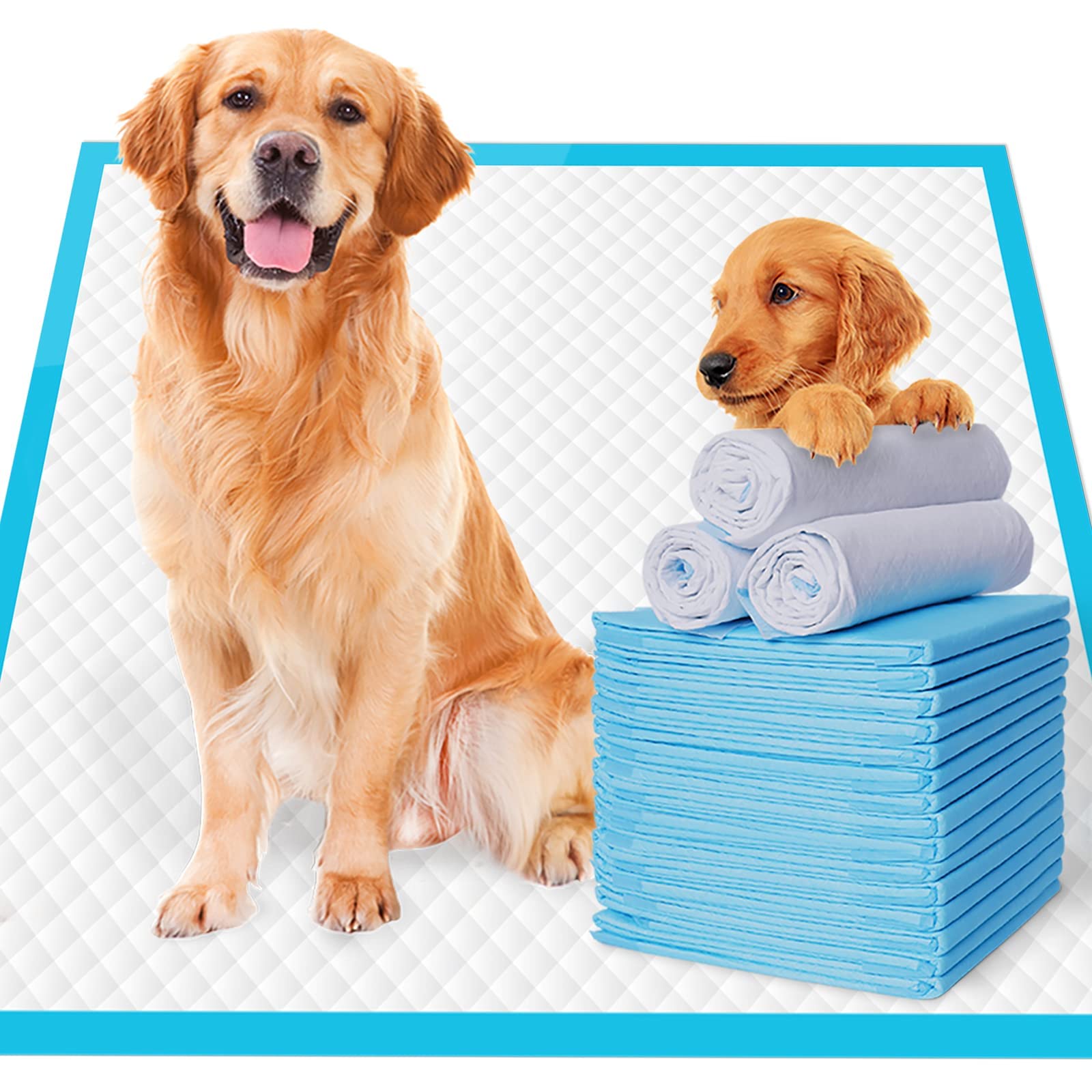 Qpets Pack of 40 Pee Pads for Dogs Bamboo Charcoal Deodorization Training Pads for Dogs Strong Water Absorption Dog Training Pad Soft and Light Puppy Dog Pee Mats(60 * 60CM) Qpets Pack of 40 Pee Pads for Dogs Bamboo Charcoal Deodorization Training Pads for Dogs Strong Water Absorption Dog Training Pad Soft and Light Puppy Dog Pee Mats(60 * 60CM)